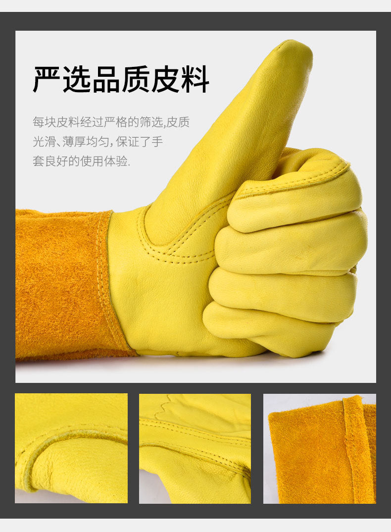 c18011d7-c9ef-422f-aeff-1aedc3c18793