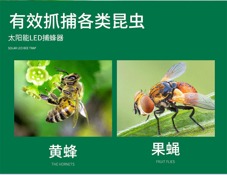 0541b4cc-b28e-4e8b-8e75-fef4269ebd77